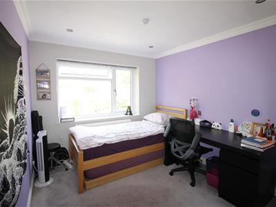 Picture 12